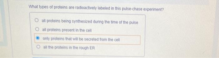 Solved What types of proteins are radioactively labeled in | Chegg.com