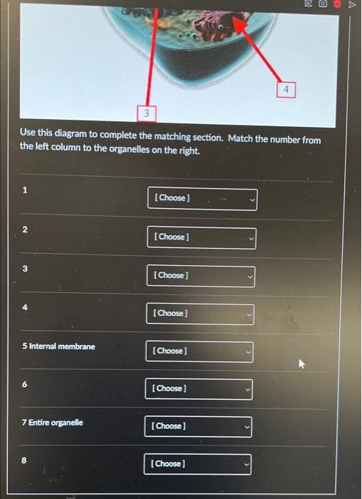 Solved 0 Question 1 G 4 Use this diagram to complete the | Chegg.com
