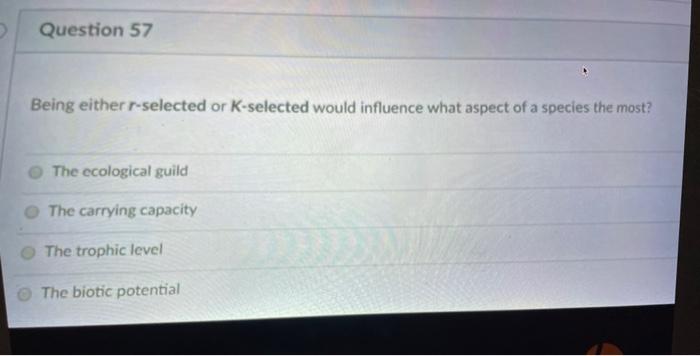 Solved Question 65 Which of the following includes the other | Chegg.com