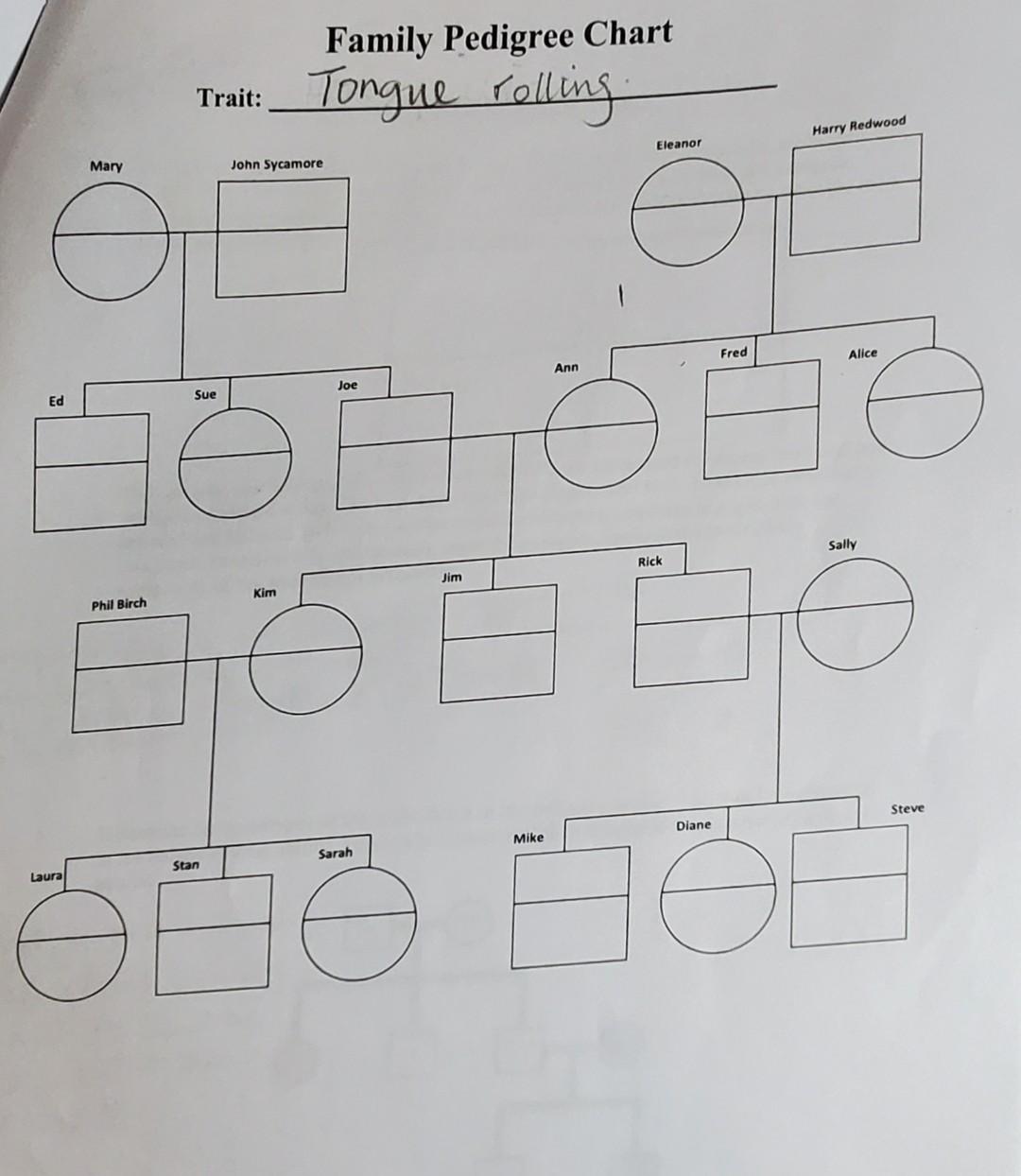 Solved Family Pedigree Chart Trait: Tongue rolling Harry | Chegg.com