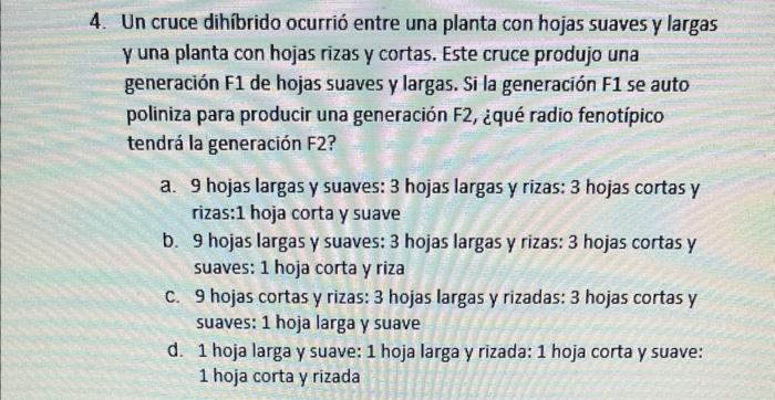 4. Un cruce dihíbrido ocurrió entre una planta con hojas suaves y largas \( \gamma \) una planta con hojas rizas y cortas. Es