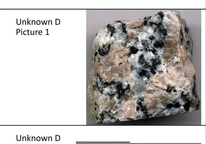 Pumice - Igneous Rocks