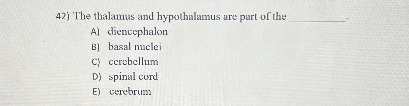 Solved The thalamus and hypothalamus are part of theA) Biology Diagrams
