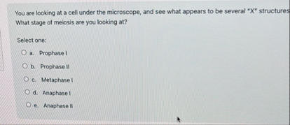 Solved You are looking at a cell under the microscope, and | Chegg.com
