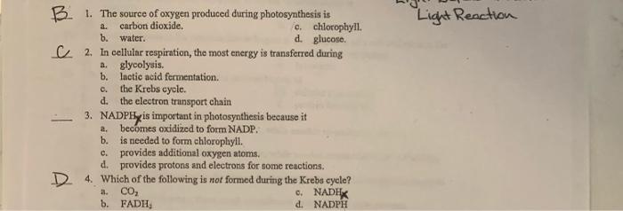 solved-b-light-reaction-a-c-1-the-source-of-oxygen-chegg