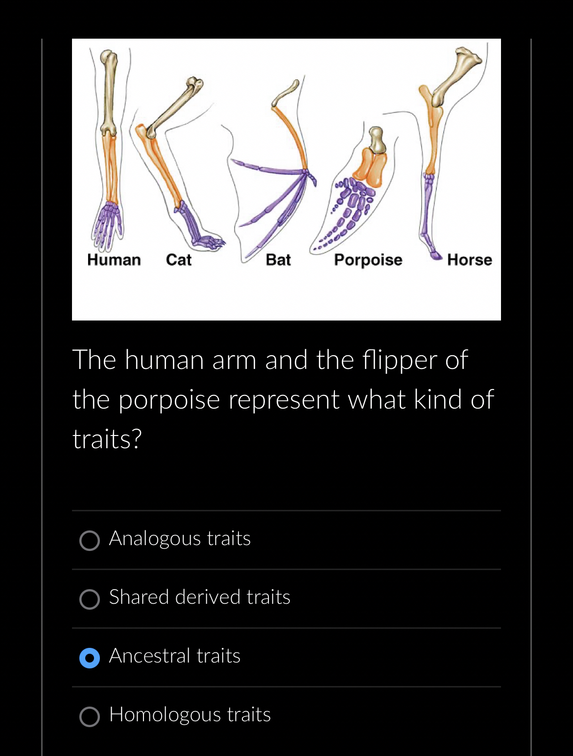 Solved The human arm and the flipper of the porpoise | Chegg.com