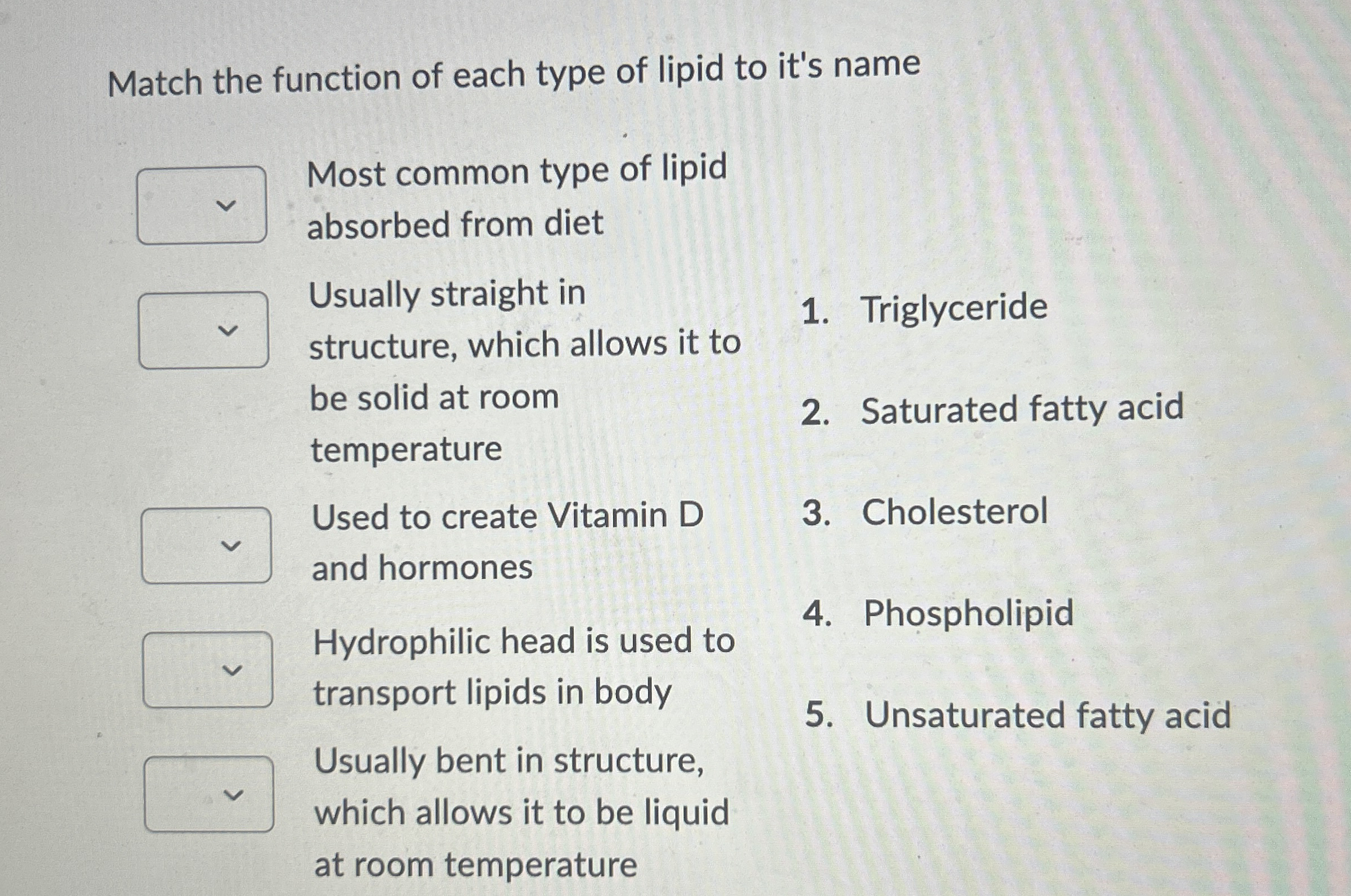 Solved Match the function of each type of lipid to it's | Chegg.com