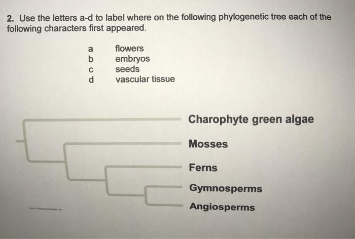 Solved 2. Use the letters a-d to label where on the | Chegg.com