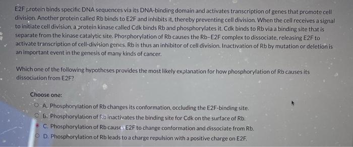 Solved E2F protein binds specific DNA sequences via its | Chegg.com