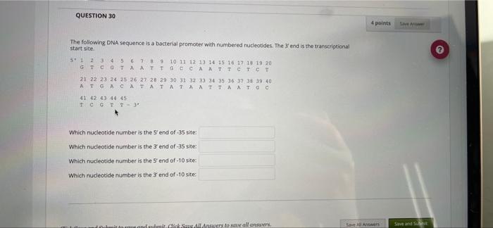 Solved QUESTION 30 The following DNA sequence is a bacterial | Chegg.com