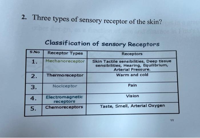 solved-2-three-types-of-sensory-receptor-of-the-skin-c