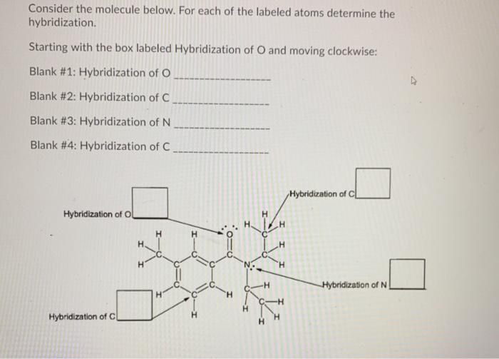 Solved Consider the molecule below. For each of the labeled | Chegg.com