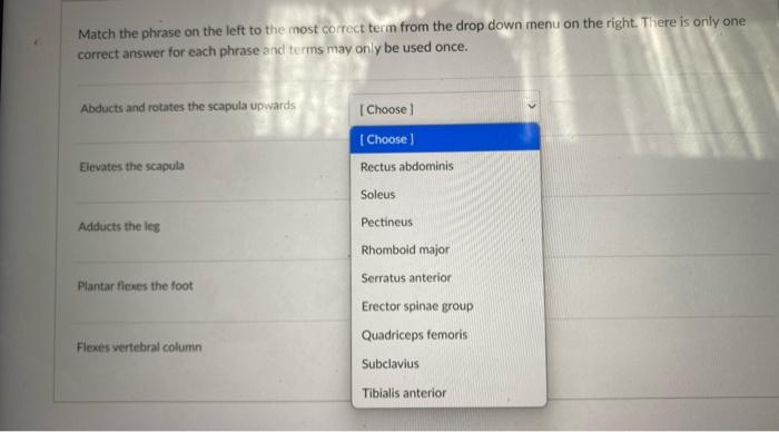 Solved Match the phrase on the left to the most correct team | Chegg.com