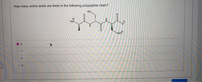 Solved How many amino acids are there in the following | Chegg.com
