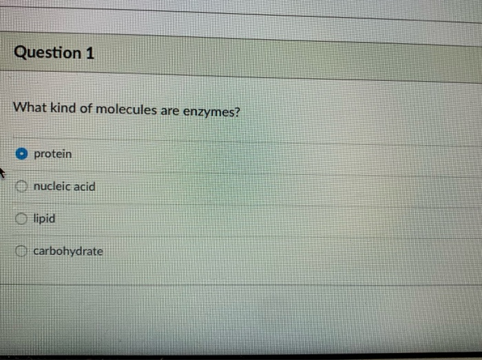 Solved Question 1 What kind of molecules are enzymes?