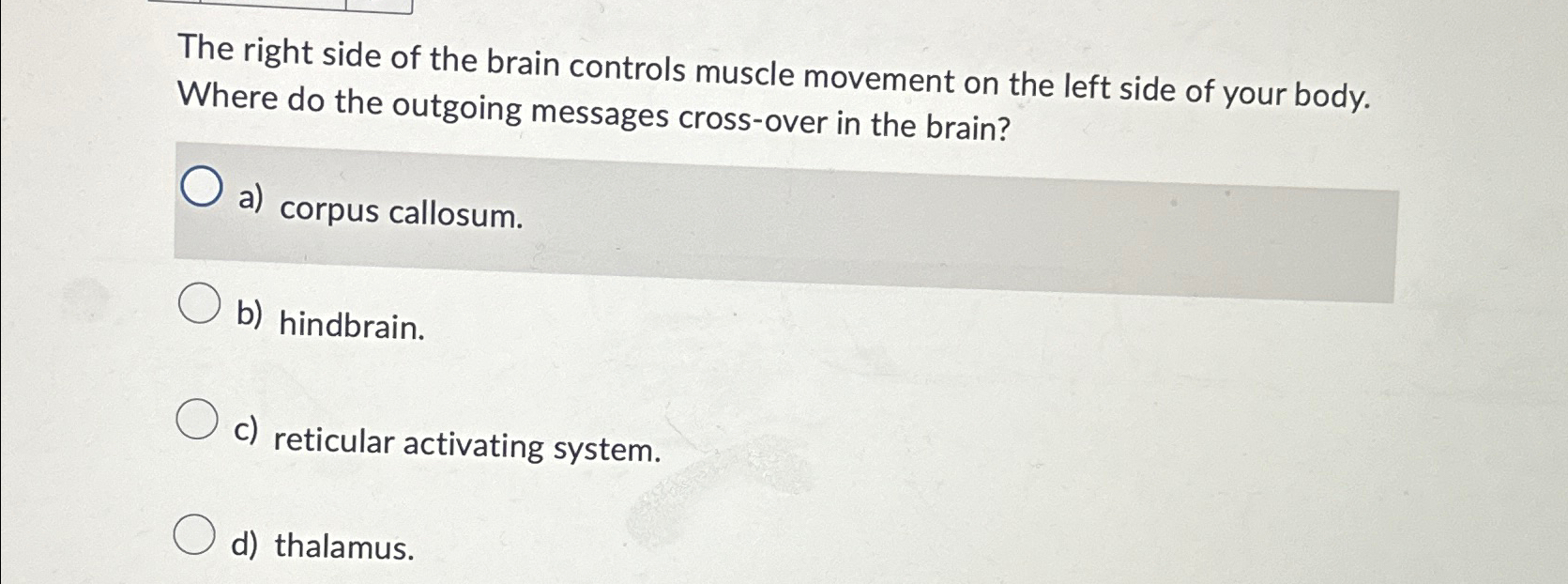 right side of the brain controls movement