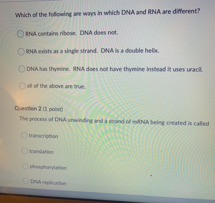 Solved Which of the following are ways in which DNA and RNA | Chegg.com