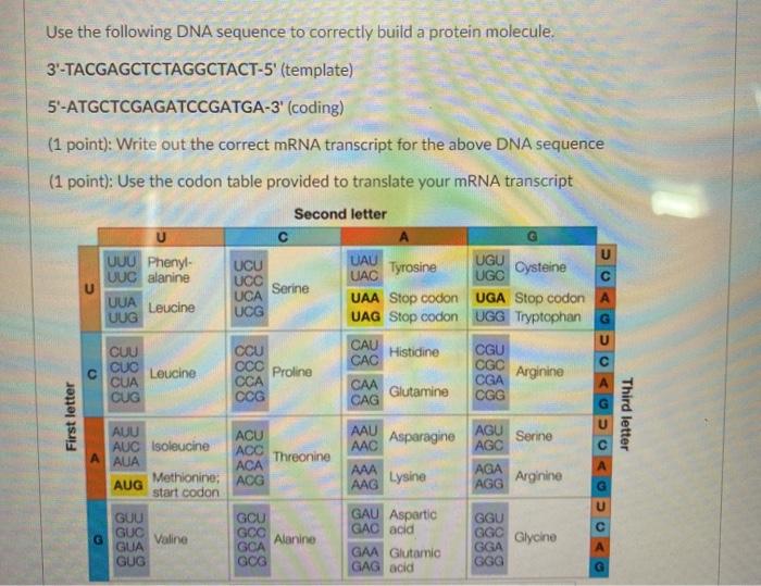 Solved Асс UUG AGA UUA AGG AGU GCA CGA CCA UCA ACA GUA GCC