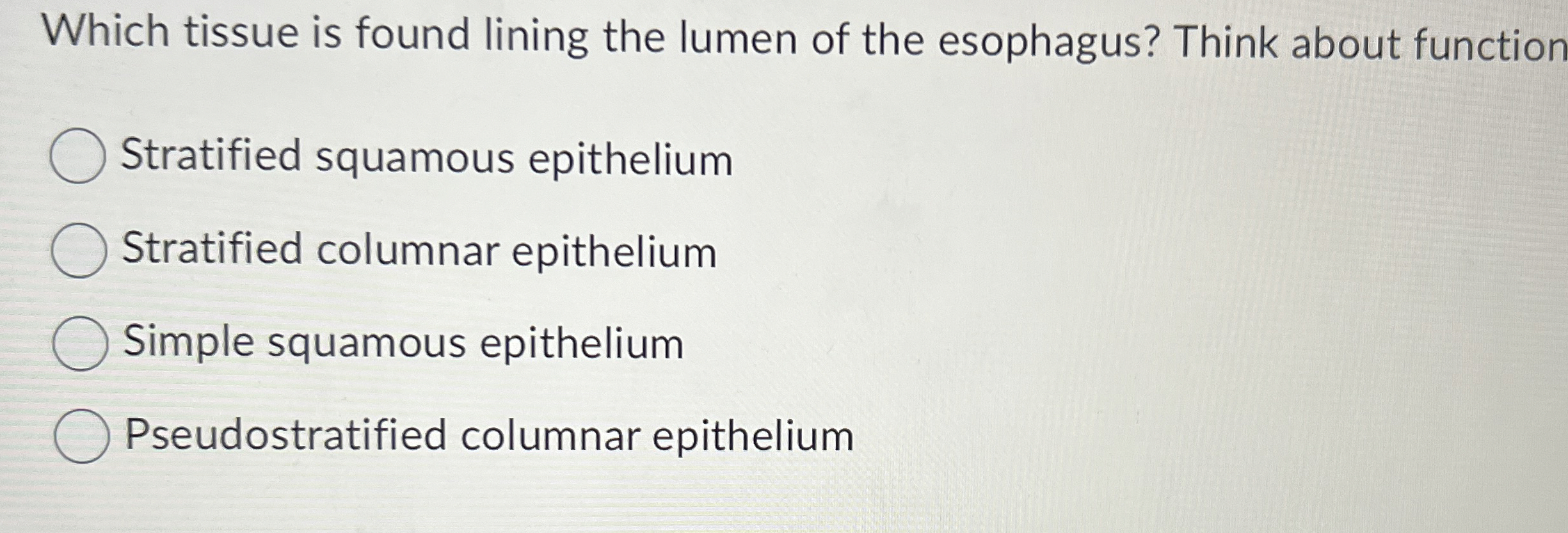 Solved Which tissue is found lining the lumen of the