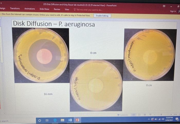 Solved Disk Diffusion and Kirby Bauer lab results Disk | Chegg.com