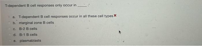 T-dependent B Cell Responses Only Occur In A. | Chegg.com