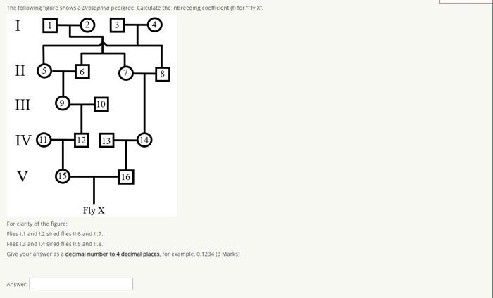 solved-the-following-figure-shows-a-drosophlla-pedigree-chegg