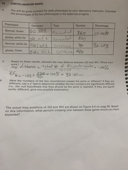 Solved 56 LABORATORY MANUAL You will be aivan