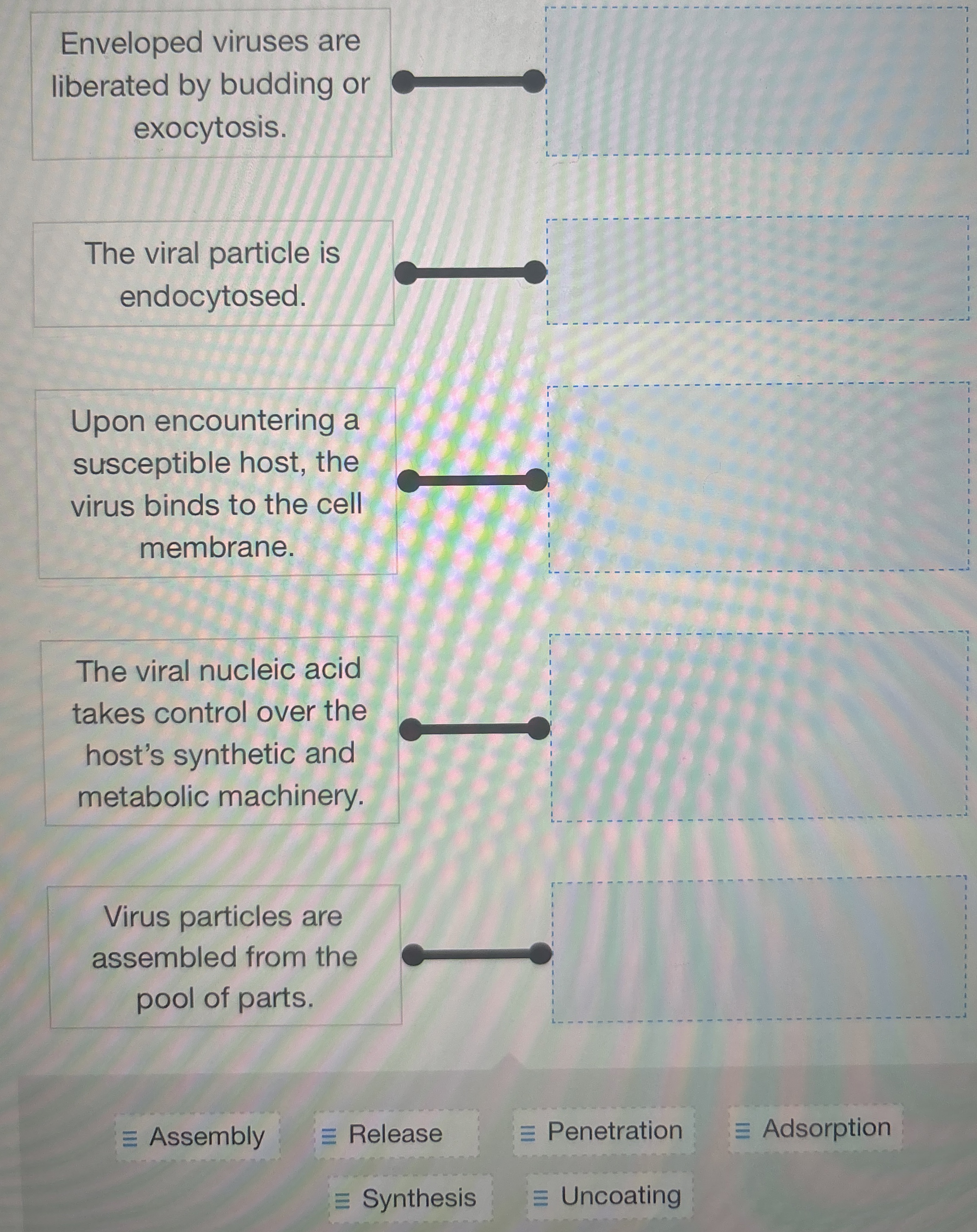 Solved Enveloped viruses are liberated by budding or | Chegg.com
