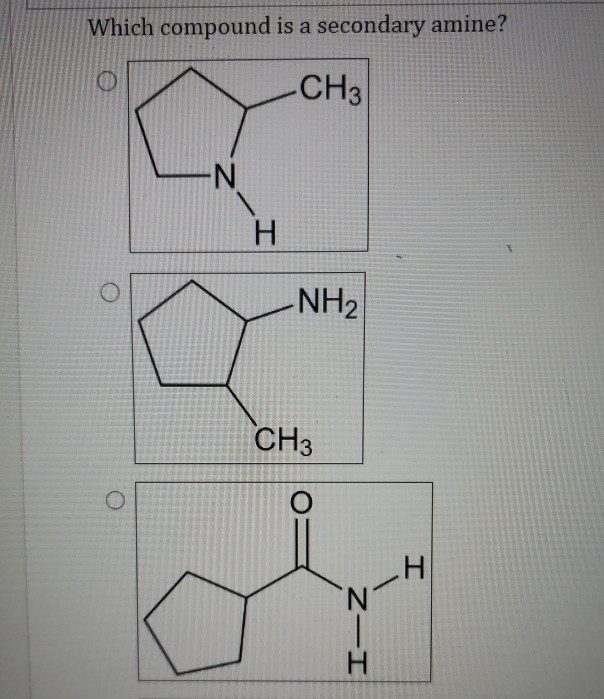 Solved Which compound is a secondary amine? -CH3 -N H 3 -NH2 | Chegg.com