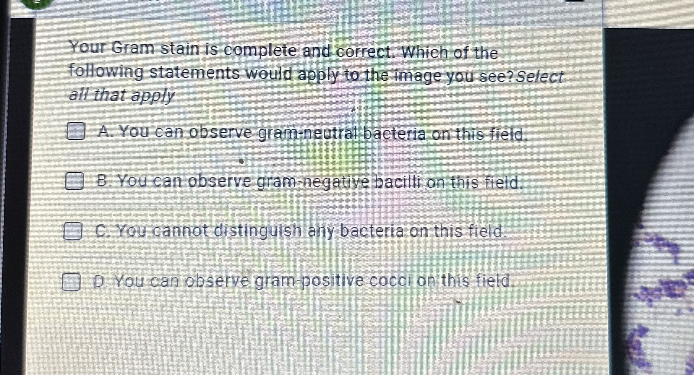 Solved Your Gram stain is complete and correct. Which of the | Chegg.com