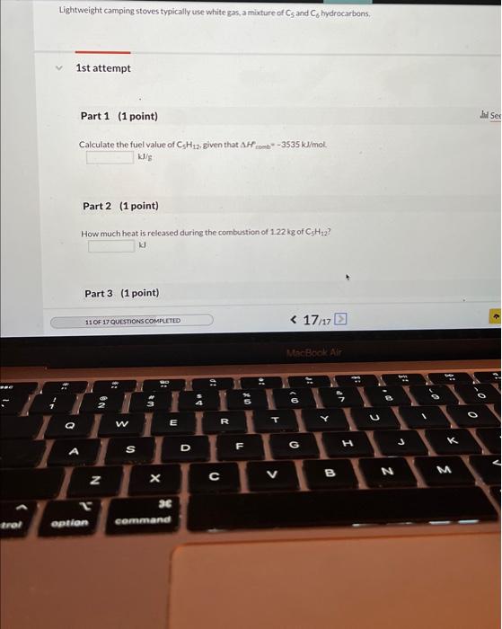 Lightweight camping stoves typically use white gas, a