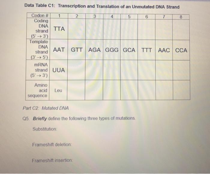 Solved Data Table C1: Transcription and Translation of an | Chegg.com