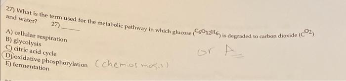 Solved choose the correct answer and explain why this answer | Chegg.com