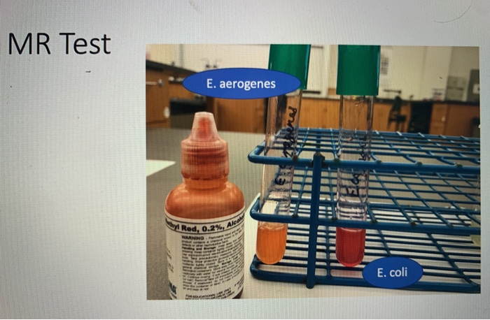Mr Test Example Solved 3. MR-VP Tests MR TEST VP TEST Organism COLOR + OR- | Chegg.com