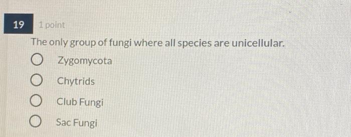 1 19 1 Point The Only Group Of Fungi Where All Chegg Com