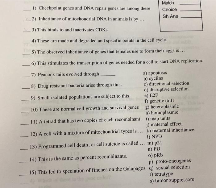 Solved 1) Checkpoint genes and DNA repair genes are among Biology Diagrams