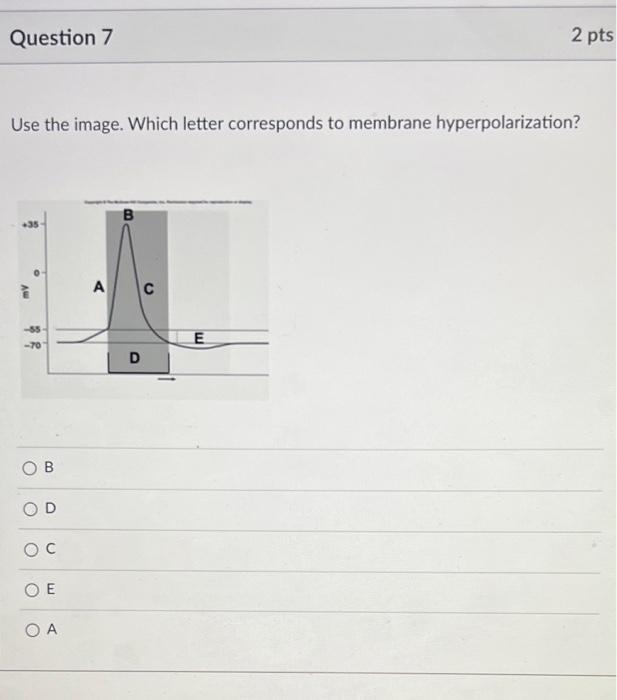Solved Use the image. Which letter corresponds to membrane | Chegg.com
