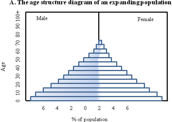 solved-draw-the-general-shape-of-age-structure-diagrams-charac