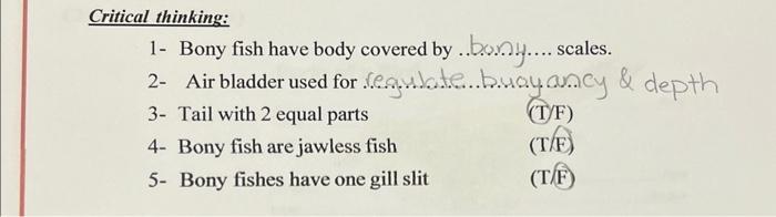 Solved Critical thinking: 1- Bony fish have body covered by | Chegg.com