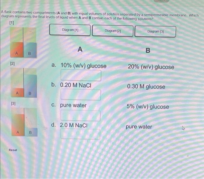 Solved A Flask Contains Two Compartments (A And B) With | Chegg.com