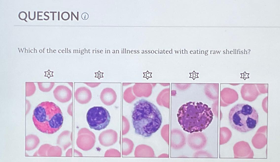 Solved QUESTIONWhich of the cells might rise in an illness | Chegg.com