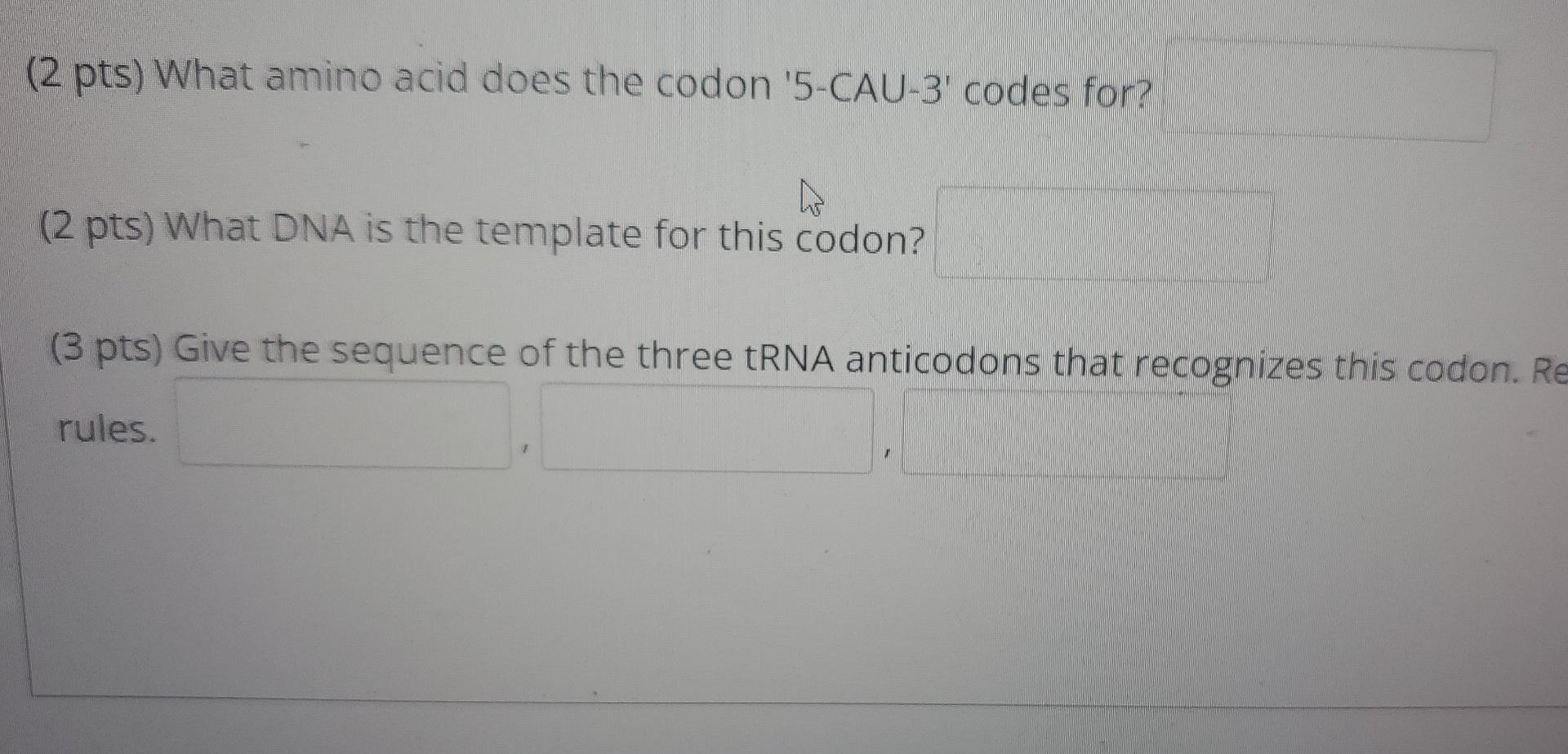 Solved (2 pts) What amino acid does the codon '5CAU3'