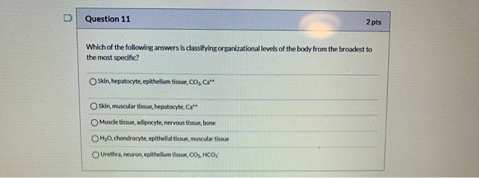 Solved Question 11 2 pts Which of the following answers is | Chegg.com