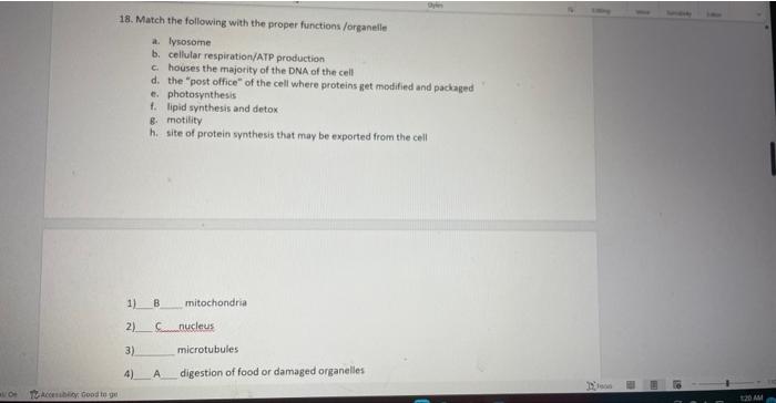 18. Match the following with the proper functions /organelle
a. Iysosome
b. cellular respiration/ATP production
c. houses the
