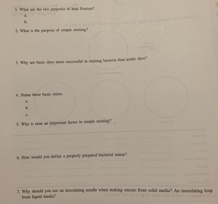 Solved 1. What are the two purposes of heat fixation? 2.