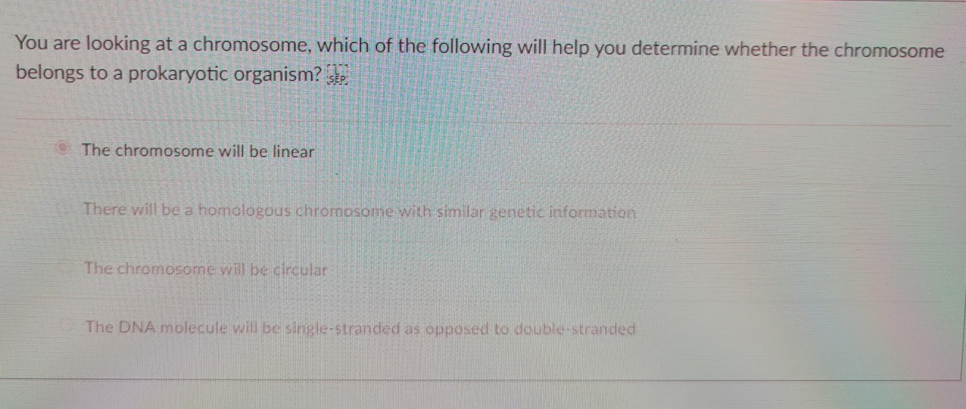 Solved You are looking at a chromosome, which of the | Chegg.com