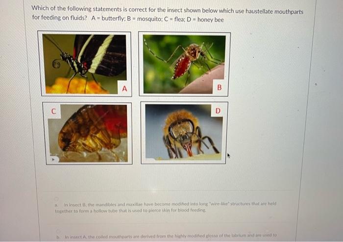 Solved Which of the following statements is correct for the | Chegg.com