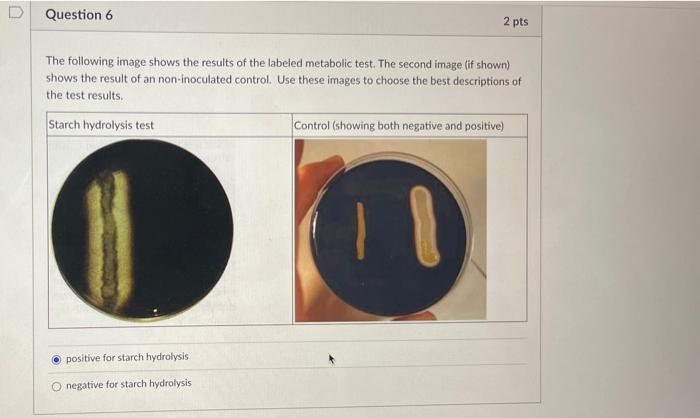 Solved Use the image below to determine whether this | Chegg.com