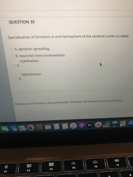 Solved Question 35 Specialization Of Functions In One Chegg Solved Question 35 Specialization Of Functions In One Chegg