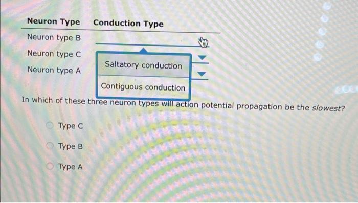 Solved 3. Action potential propagation and myelin sheaths | Chegg.com